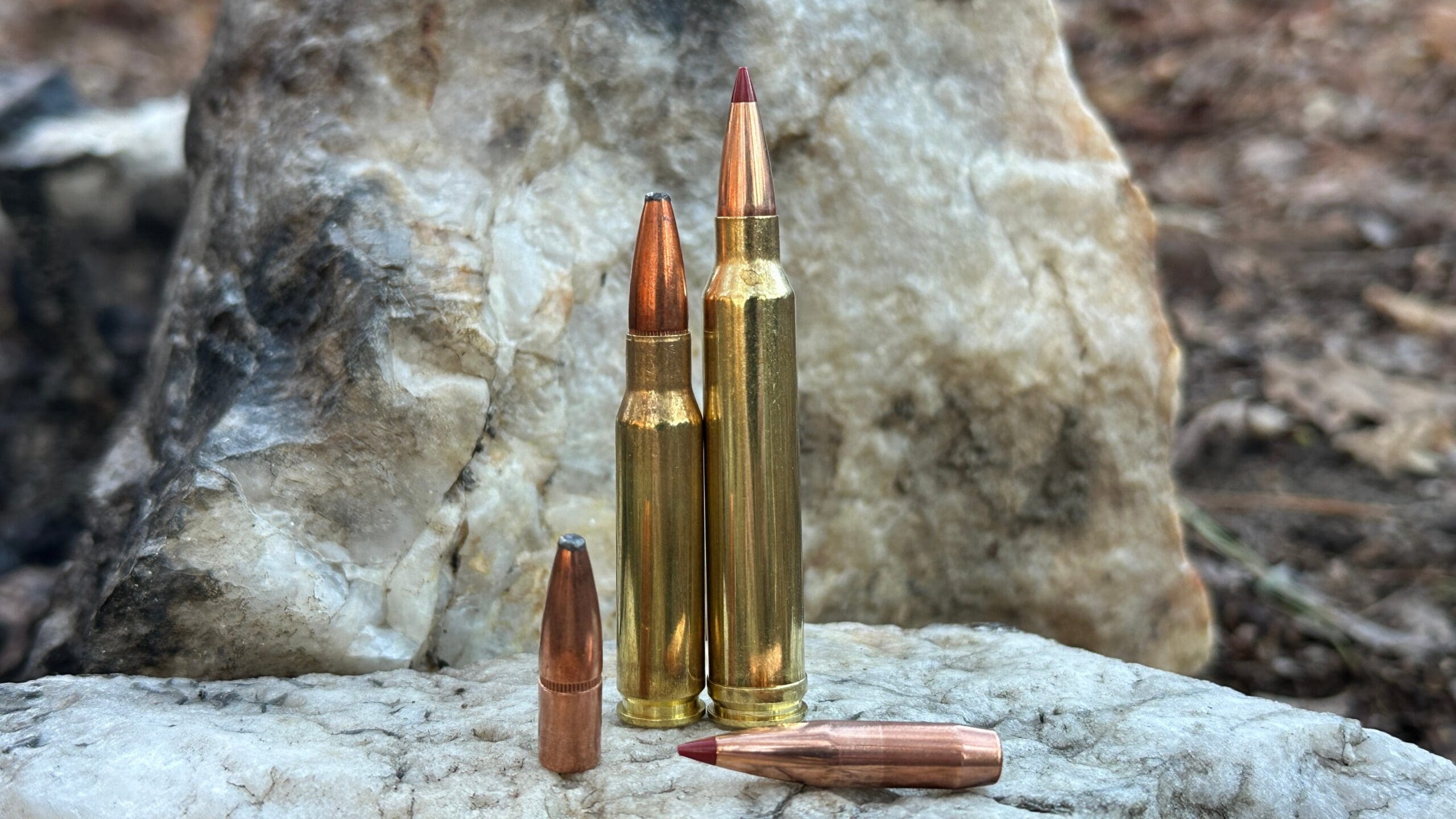 two cartridges on a rock